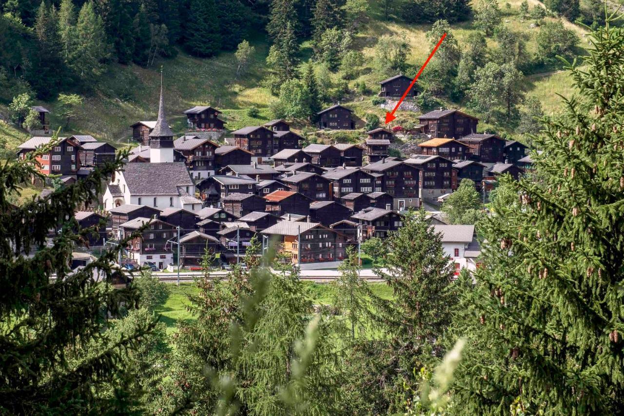Denkmalgeschuetzter Spycher Total Renoviert Goms エクステリア 写真